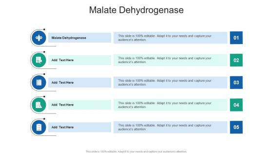 Malate Dehydrogenase In Powerpoint And Google Slides Cpb