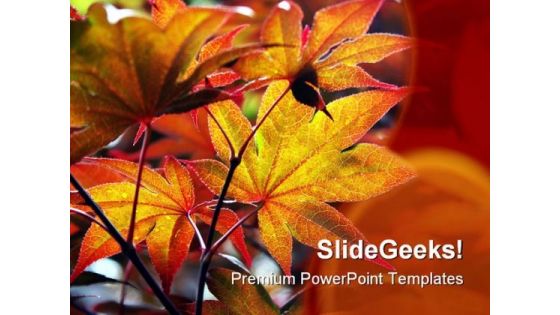 Maple Leaves Nature PowerPoint Template 0810