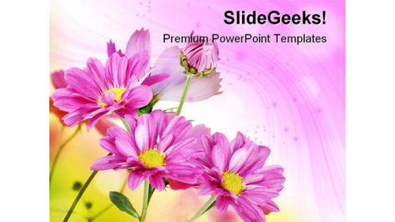 Margherite Flowers Beauty PowerPoint Templates And PowerPoint Backgrounds 0511