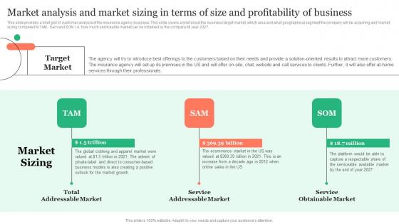 Market Analysis And Market Sizing In Terms Of Size Insurance Business Plan Ideas Pdf