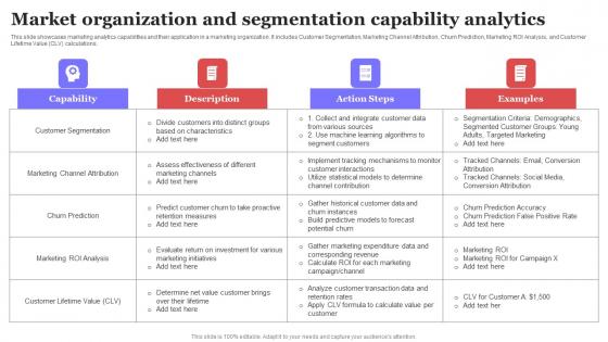 Market Organization And Segmentation Capability Analytics Ppt Example PDF