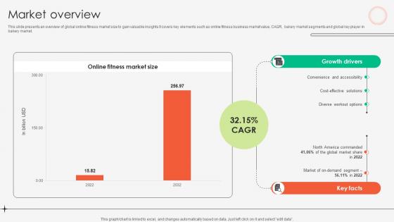 Market Overview Online Fitness Tutoring Business Market Entry Plan GTM SS V