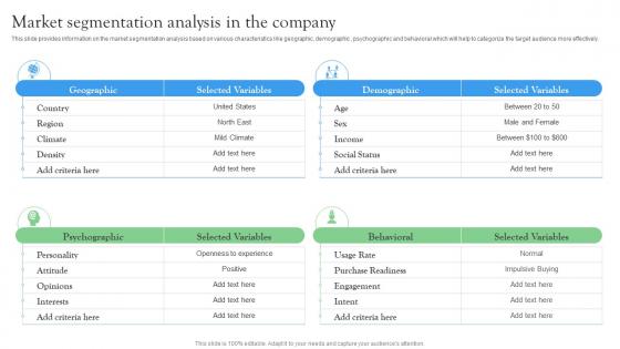 Market Segmentation Analysis In The Company Startup Investment Sources Elements Pdf