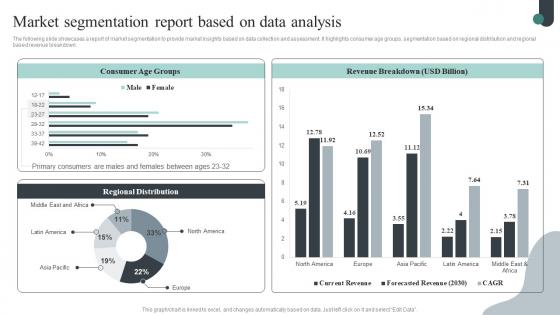 Market Segmentation Report Based Competitive Intelligence Guide To Determine Market Designs Pdf