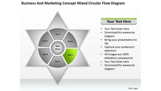 Marketing Concept Mixed Circular Flow Diagram Ppt Business Plan Examples PowerPoint Slides