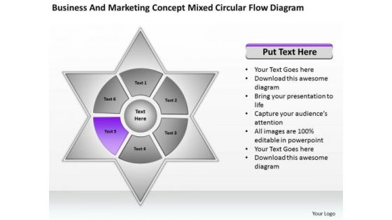 Marketing Concept Mixed Circular Flow Diagram Ppt Business Plan Outline PowerPoint Slides