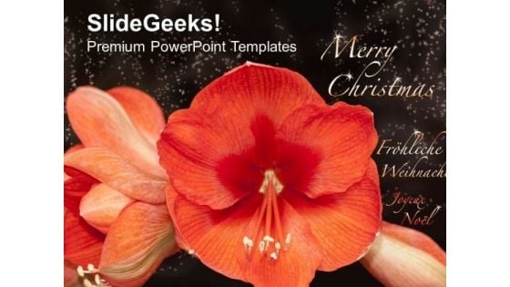 Marry Christmas Theme PowerPoint Templates Ppt Backgrounds For Slides 0413