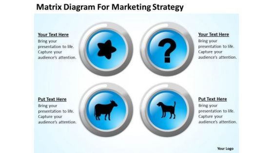 Matrix Diagram For Marketing Strategy Ppt Insurance Agency Business Plan PowerPoint Slides