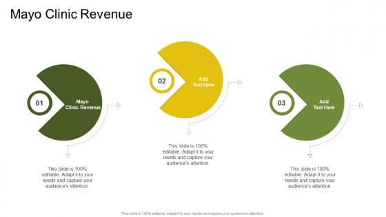 Mayo Clinic Revenue In Powerpoint And Google Slides Cpb