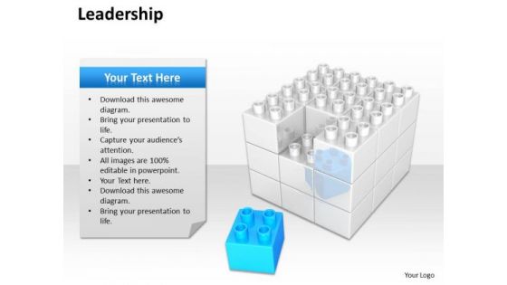 Mba Models And Frameworks Leader Ship Consulting Diagram