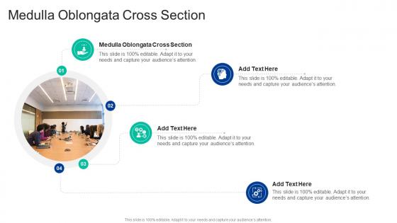 Medulla Oblongata Cross Section In Powerpoint And Google Slides Cpb