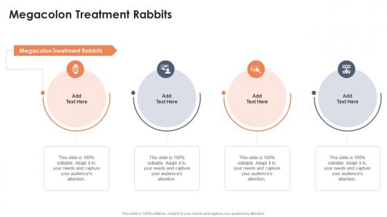 Megacolon Treatment Rabbits In Powerpoint And Google Slides Cpb