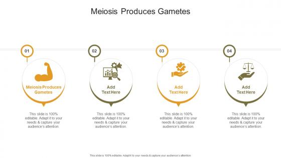 Meiosis Produces Gametes In Powerpoint And Google Slides Cpb