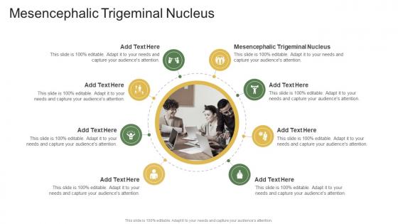 Mesencephalic Trigeminal Nucleus In Powerpoint And Google Slides Cpb
