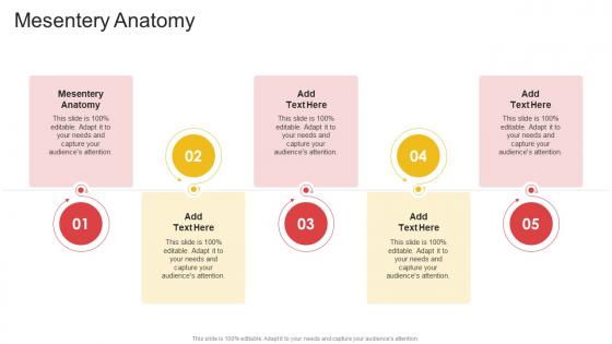 Mesentery Anatomy In Powerpoint And Google Slides Cpb Mesentery Anatomy In Powerpoint And Google Slides Cpb