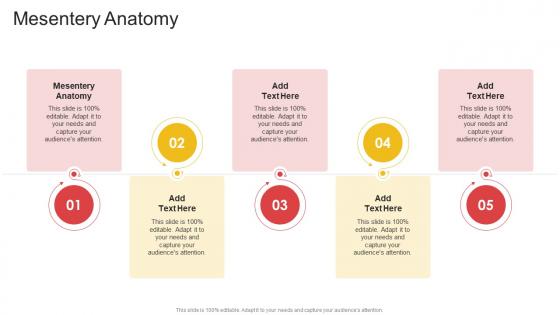 Mesentery Anatomy In Powerpoint And Google Slides Cpb