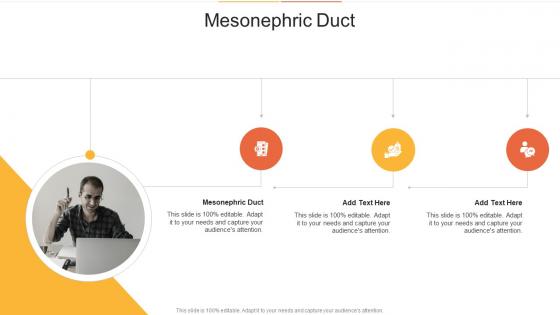 Mesonephric Duct In Powerpoint And Google Slides Cpb
