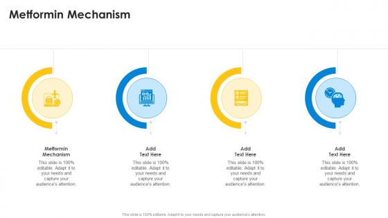 Metformin Mechanism In Powerpoint And Google Slides Cpb