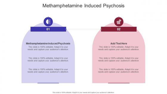 Methamphetamine Induced Psychosis In Powerpoint And Google Slides Cpb