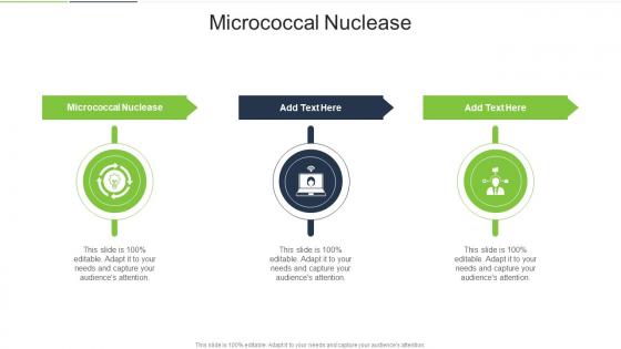 Micrococcal Nuclease In Powerpoint And Google Slides Cpb