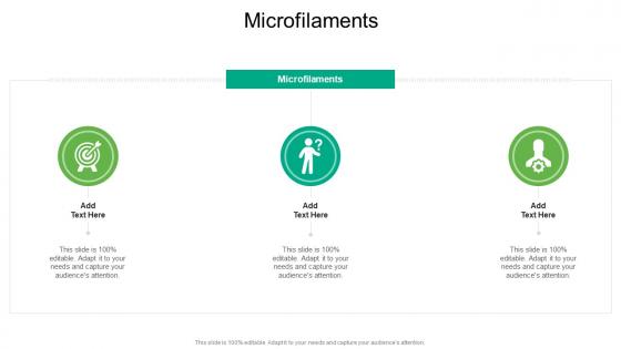 Microfilaments In Powerpoint And Google Slides Cpb