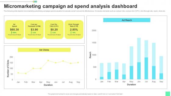 Micromarketing Campaign Ad Spend Introduction To Niche Marketing Audience Segmentation Mockup Pdf