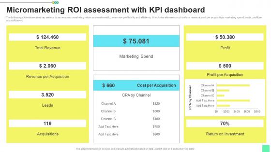 Micromarketing Roi Assessment Introduction To Niche Marketing Audience Segmentation Portrait Pdf