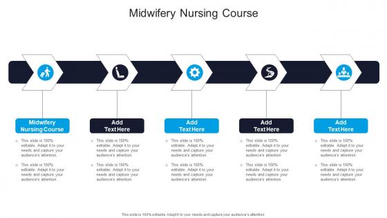 Midwifery Nursing Course In Powerpoint And Google Slides Cpb