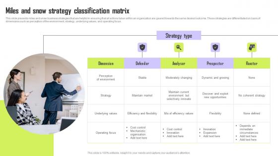 Miles And Snow Strategy Classification Matrix Sample Pdf
