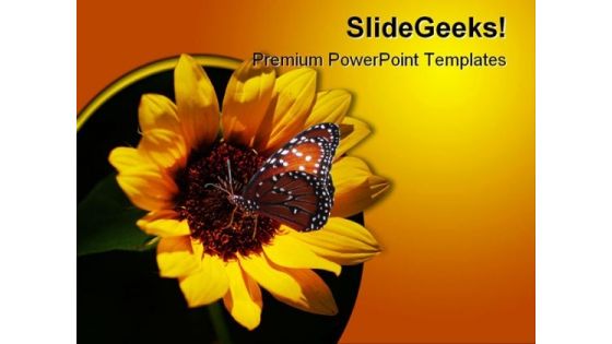 Miniature Sunflower Beauty PowerPoint Templates And PowerPoint Backgrounds 0211