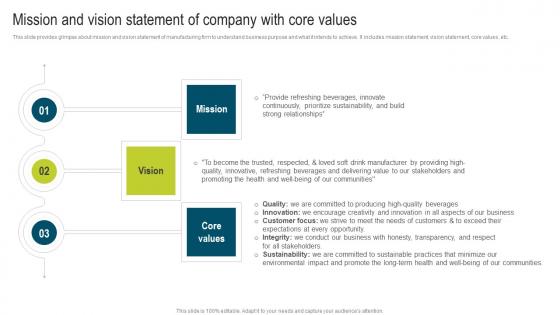 Mission And Vision Statement Of Company Developing Extensive Plan For Operational Microsoft Pdf