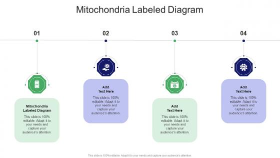 Mitochondria Labeled Diagram In Powerpoint And Google Slides Cpb