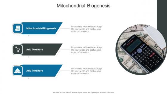 Mitochondrial Biogenesis In Powerpoint And Google Slides Cpb
