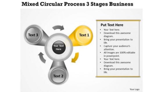 Mixed Circular Process 3 Stages Business Ppt Great Plan Examples PowerPoint Templates