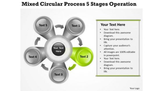 Mixed Circular Process 5 Stages Operation Ppt Business Plan PowerPoint Template