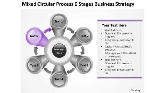 Mixed Circular Process 6 Stages New Business Strategy Ppt Plan Online PowerPoint Slides