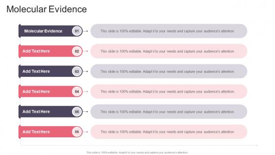 Molecular Evidence In Powerpoint And Google Slides Cpb Molecular Evidence In Powerpoint And Google Slides Cpb
