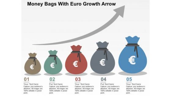 Money Bags With Euro Growth Arrow PowerPoint Templates