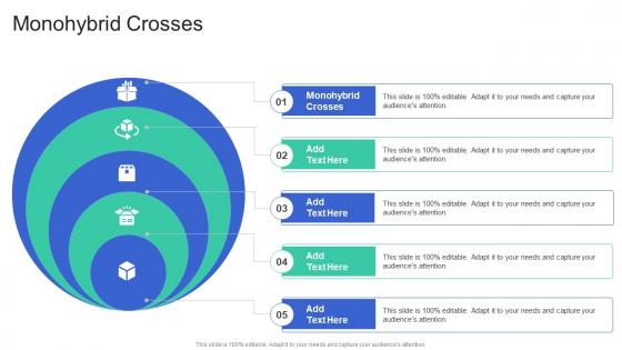 Monohybrid Crosses In Powerpoint And Google Slides Cpb Monohybrid Crosses In Powerpoint And Google Slides Cpb