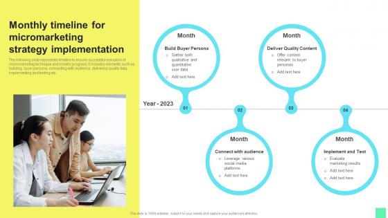 Monthly Timeline Micromarketing Introduction To Niche Marketing Audience Segmentation Infographics Pdf