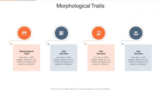 Morphological Traits In Powerpoint And Google Slides Cpb