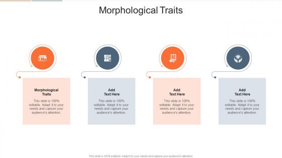 Morphological Traits In Powerpoint And Google Slides Cpb
