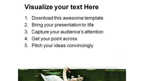 Mother Swan With Babies Family PowerPoint Templates And PowerPoint Backgrounds 0911