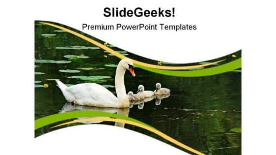 Mother Swan With Babies Family PowerPoint Themes And PowerPoint Slides 0911