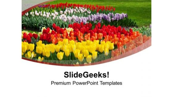 Multi Color Beautiful Flowers Nature PowerPoint Templates Ppt Backgrounds For Slides 1212