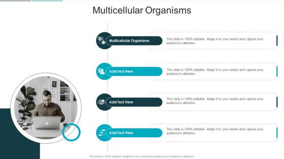 Multicellular Organisms In Powerpoint And Google Slides Cpb