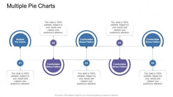 Multiple Pie Charts In Powerpoint And Google Slides Cpb