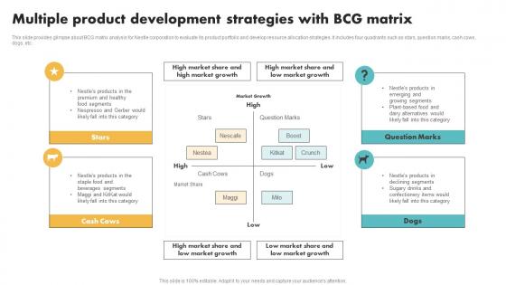 Multiple Product Development Strategies With BCG Matrix Customer Segmentation Summary Pdf