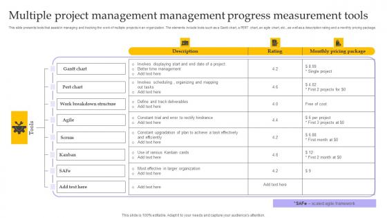 Multiple Project Management Management Progress Measurement Tools Pictures Pdf