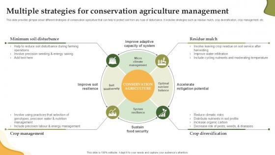 Multiple Strategies For Conservation Enhancing Productivity With Adoption PPT Example Multiple Strategies For Conservation Enhancing Productivity With Adoption PPT Example
